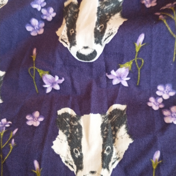 QUIRKY AND BEAUTIFUL RUN & FLY "BADGER PRINT" TEA PARTY DRESS - Picture 9 of 12